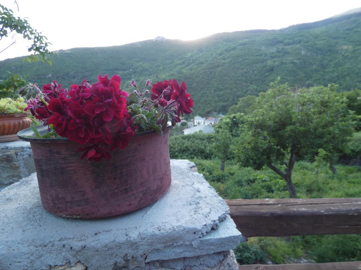 Villa Efrosini Dhrákia 外观 照片